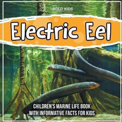 Electric Eel: Buy Electric Eel by Kids Bold at Low Price in India