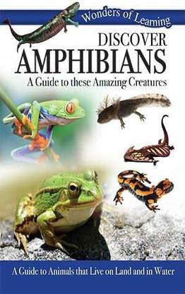 AMPHIBIANS: Buy AMPHIBIANS by Q2A Creative, Q2A Media at Low Price in