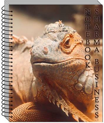 KRASHTIC Spiral Notebook A4 Size 200 Pages Unruled White Plain Page set ...