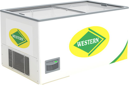 western freezer double door