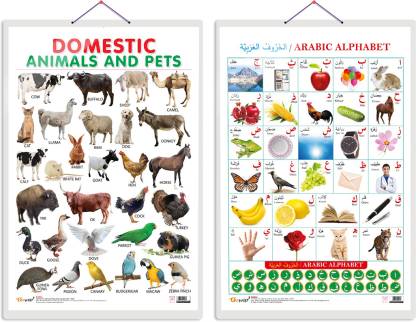 GO WOO Pack of 2 Domestic Animals and Pets and Arabic Alphabet Educational  charts Price in India - Buy GO WOO Pack of 2 Domestic Animals and Pets and Arabic  Alphabet Educational