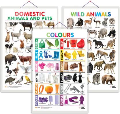 Set of 3 Domestic Animals and Pets, Wild Animals and Colours Early Learning  Educational Charts for
