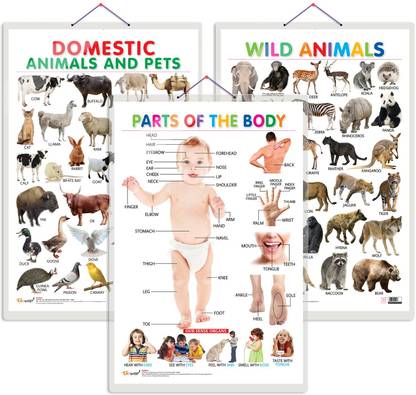 Set of 3 Domestic Animals and Pets, Wild Animals and Parts of the Body Early Learning Set of 3 Domestic Animals and Pets, Wild Animals and Parts of the Body Early Learning