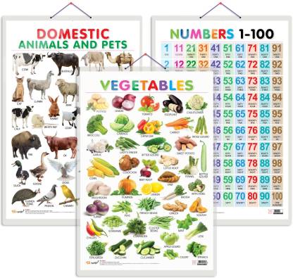 Set of 3 Vegetables, Domestic Animals and Pets and Numbers 1-100 Early  Learning Educational Charts