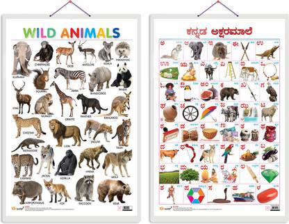 GO WOO Pack of 2 Wild Animals and Kannada Alphabet Educational charts