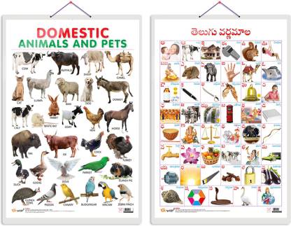 GO WOO Pack of 2 Domestic Animals and Pets and Telugu Alphabet Educational  charts Price in India - Buy GO WOO Pack of 2 Domestic Animals and Pets and  Telugu Alphabet Educational