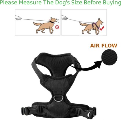 dog full belt