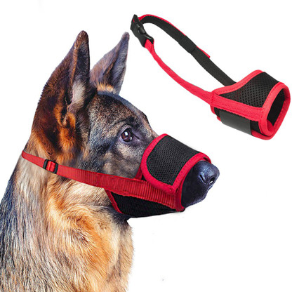 muzzle to prevent biting
