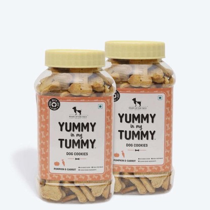 yummy tummy pumpkin for dogs