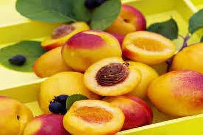 Sjeme Organic du Peach Peechu Pandu Pica Seed Price In India Buy Sjeme Organic du Peach Peechu Pandu Pica Seed Online At Flipkart Com
