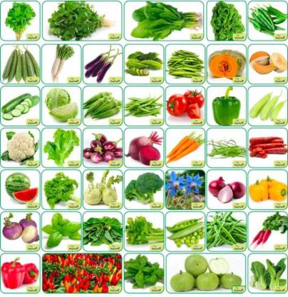 CELEBSHINE Vegetable Seeds Seed Price in India - Buy CELEBSHINE ...