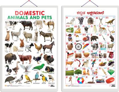 Set of 2 Domestic Animals and Pets and Kannada Alphabet Early Learning Educational Charts for Kids Set of 2 Domestic Animals and Pets and Kannada Alphabet Early Learning Educational Charts for Kids