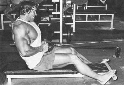 vrijgesteld Antecedent Kikker Poster Arnold Schwarzenegger Bodybuilding Men Workout Celebrities  Celebrities Sport Photo sl-12595 (Wall Poster, 13x19 Inches, Matte Paper,  Multicolor) Fine Art Print - Sports posters in India - Buy art, film,  design, movie,