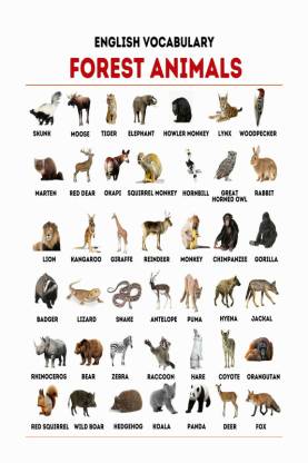 Animals Name Chart Poster with Gloss Lamination Paper Print - Children,  Educational posters in India - Buy art, film, design, movie, music, nature  and educational paintings/wallpapers at 