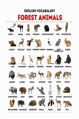 Animals Name Chart Poster with Gloss Lamination Paper Print - Children, Educational posters in India - Buy art, film, design, movie, music, nature and educational paintings/wallpapers at Animals Name Chart Poster with Gloss Lamination Paper Print - Children, Educational posters in India - Buy art, film, design, movie, music, nature and educational paintings/wallpapers at