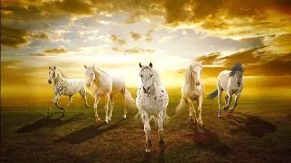 Horse Wallpaper photo paper Poster Full HD Without Frame for Living Room,Bedroom,Office,Kids Room,Hall,Home Decor | Photographic Paper (18 inch X 12 inch) Paper Print - Quotes & Motivation posters in India - Horse Wallpaper photo paper Poster Full HD Without Frame for Living Room,Bedroom,Office,Kids Room,Hall,Home Decor | Photographic Paper (18 inch X 12 inch) Paper Print - Quotes & Motivation posters in India -