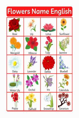 Flowers Name In Sanskrit With Picture | Best Flower Site