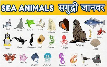 Animals Name Chart Poster with Gloss Lamination Paper Print - Children, Educational posters in India - Buy art, film, design, movie, music, nature and educational paintings/wallpapers at Animals Name Chart Poster with Gloss Lamination Paper Print - Children, Educational posters in India - Buy art, film, design, movie, music, nature and educational paintings/wallpapers at