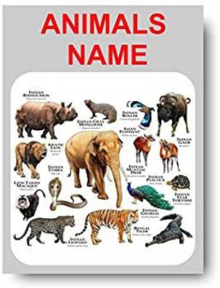Animal Name - Kids learning Charts / Posters for Kids Learning,  Kindergarten, Nursery and Homeschooling Paper Print - Educational posters  in India - Buy art, film, design, movie, music, nature and educational