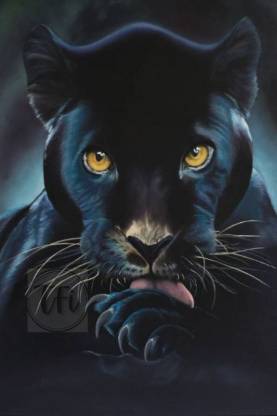 Wild Animal Black Panther Poster | Panther Posters for Room | Unframed |  With Self Adhesive Tape Paper Print - Decorative posters in India - Buy  art, film, design, movie, music, nature