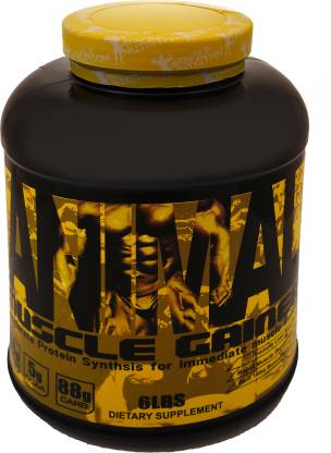 MSN Animal Muscle Gainer |mass gainer | 60gm Protein, 5g Bcaa, Net wt.   Kgs Weight Gainers/Mass Gainers Price in India - Buy MSN Animal  Muscle Gainer |mass gainer | 60gm Protein,