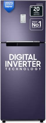 SAMSUNG 236 L Frost Free Double Door 2 Star Refrigerator with Digital Inverter  (Pebble Blue, RT28C3452UT/HL)