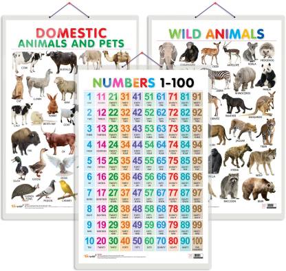 Set of 3 Domestic Animals and Pets, Wild Animals and Numbers 1-100 Early  Learning Educational