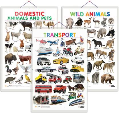 Gift Pack Of 3 Domestic Animals And Pets, Wild Animals And Transport Charts  | Wall Posters For Room Decor High Quality Paper Print With Hard Lamination  (20 Inch X 30 Inch, Rolled):