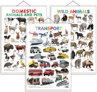 Gift Pack Of 3 Domestic Animals And Pets, Wild Animals And Transport Charts | Wall Posters For Room Decor High Quality Paper Print With Hard Lamination (20 Inch X 30 Inch, Rolled): Gift Pack Of 3 Domestic Animals And Pets, Wild Animals And Transport Charts | Wall Posters For Room Decor High Quality Paper Print With Hard Lamination (20 Inch X 30 Inch, Rolled):