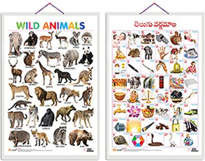 Set of 2 Wild Animals and Telugu Alphabet (Telugu) Early Learning