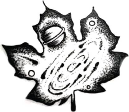 SIMPLY INKED Universe and Nature Temporary Tattoo, Designer ...