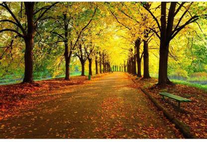 Pitaara Box 60.96 cm Autumn In City Park Unframed Glossy PVC Vinyl Wall Sticker Decal Self Adhesive Sticker