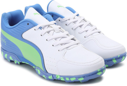NIKE POTENTIAL 3 Cricket Shoes For Men 
