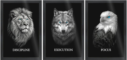 xLane Polymer Wall Photo Frame Black, 3 Photo(s), Motivational Wall Frames - Discipline, Execution, Focus Rectangular Photo Frame | Lion, Wolf & Eagle
