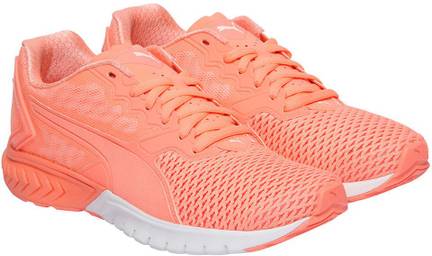 Puma Mercedes Evospeed Lace Motorsport Shoes For Men Buy Puma White Puma White Dark Shadow Color Puma Mercedes Evospeed Lace Motorsport Shoes For Men Online At Best Price Shop Online For Footwears