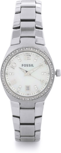 am4141 fossil