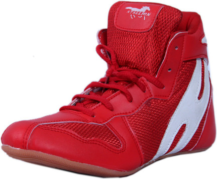 flipkart kabaddi kit