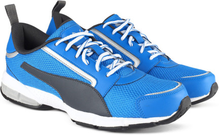 puma tritonic
