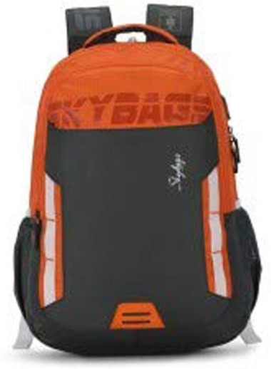 skybags ion 02