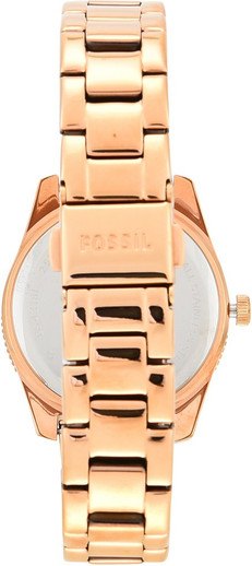 FOSSIL Riley Analog Watch - For Women 