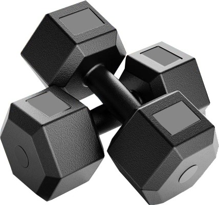 Ladies 2024 dumbbells online