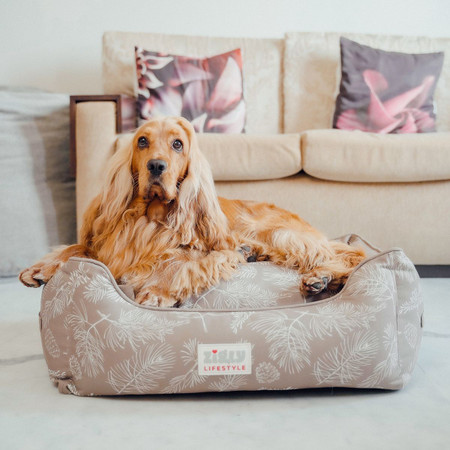 Dog bed store online flipkart