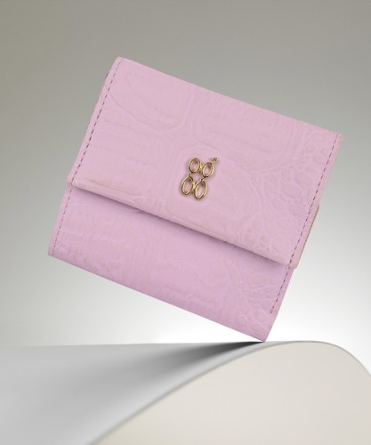 Buy Pink Wallets for Women by BAGGIT Online