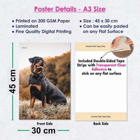 Dog Posters for Wall Decoration (12 x 18 inch), Puppy Dog Posters