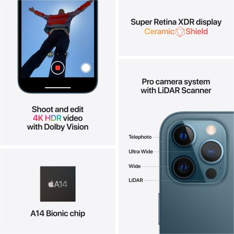 Apple iPhone 12 Pro Max (256 GB Storage) Online at Best Price On