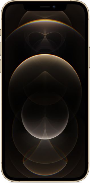 Apple iPhone 12 Pro (256 GB Storage) Online at Best Price On