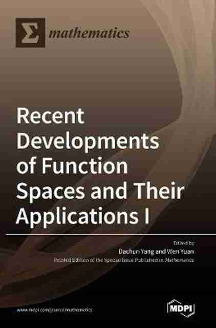Recent Developments of Function Spaces and Their Applications I: Buy ...