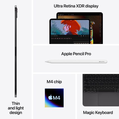 Apple 2024 iPad Pro (M4) 2 TB ROM 13.0 Inch with Wi-Fi+5G Apple M4