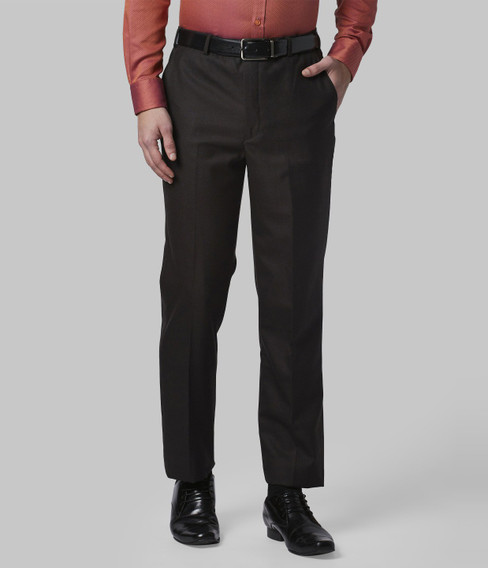 Park Avenue Regular Fit Men Brown 