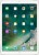 Apple iPad Pro 256 GB 12.9 inch with Wi-Fi Only (Gold)